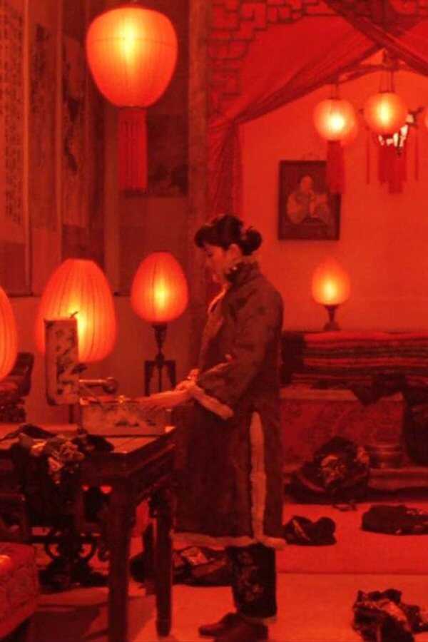 Raise the Red Lantern (1991) 0