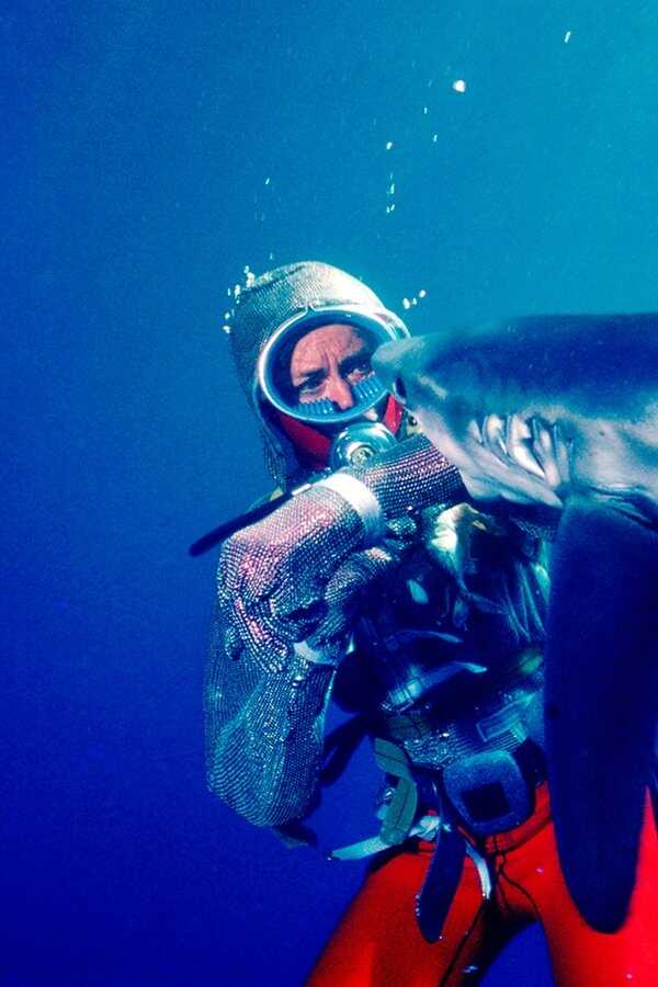 Playing with Sharks: The Valerie Taylor Story (2021) 0