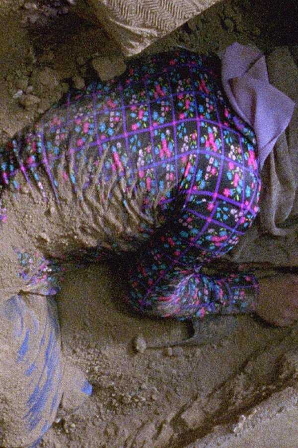 The Paternal House (2014) 0