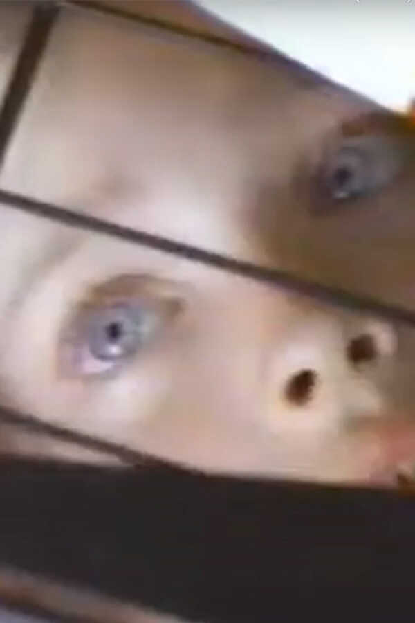 The Innocent (1994) 0