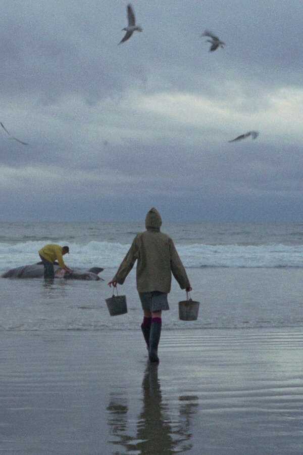 Mein Freund, der Otter (1969) 0