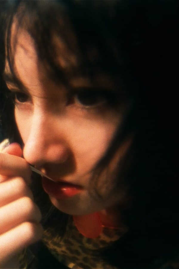 Do Lok Tin Si (1995) 0