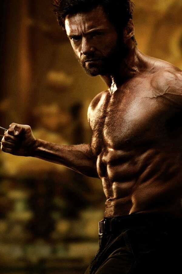 The Wolverine (2013) 0