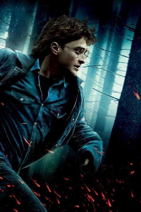 Harry Potter et les Reliques de la mort - 1ère partie (2010) 0