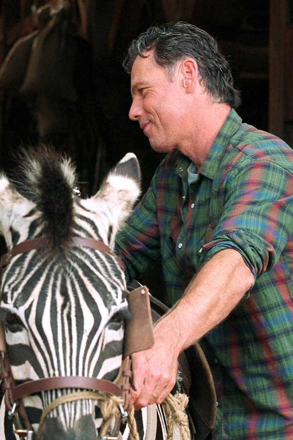 Racing Stripes (2005) 0