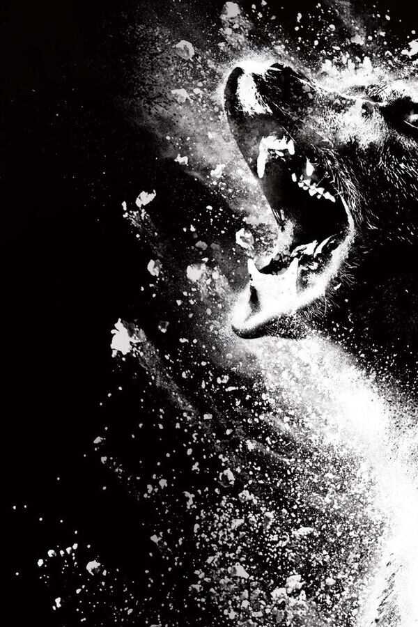 Crazy Bear (2023) 0