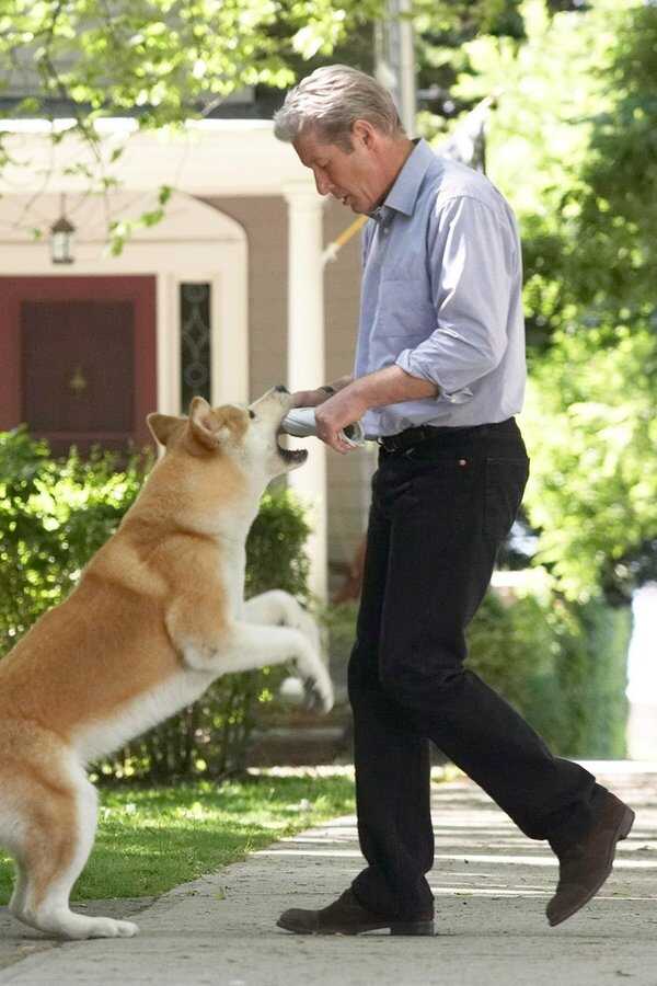 Hachi: A Dog's Tale (2009) 0