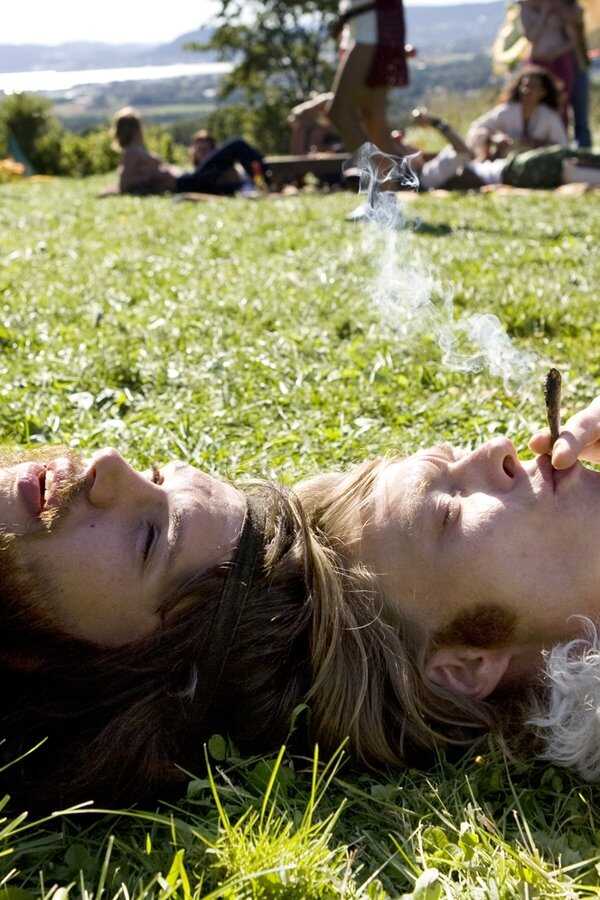 Den siste revejakta (2008) 0