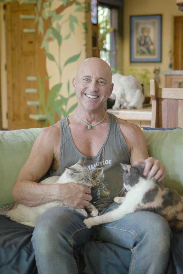 Empire Félin (2019) 0