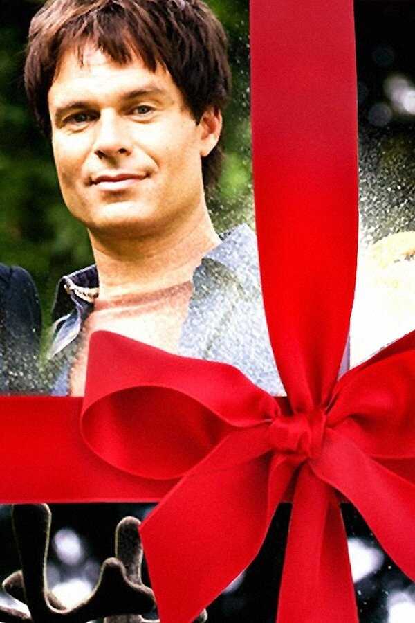 Un Noël plein de surprises (2008) 0