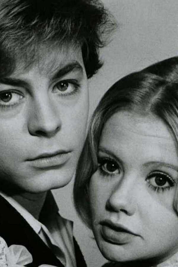 The Family Way (1966) 0