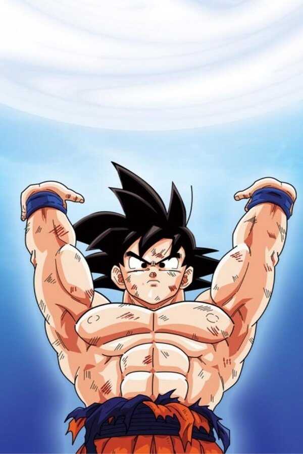 Dragon Ball Z - Le Plan d'éradication des Super Saiyens (2010) 0