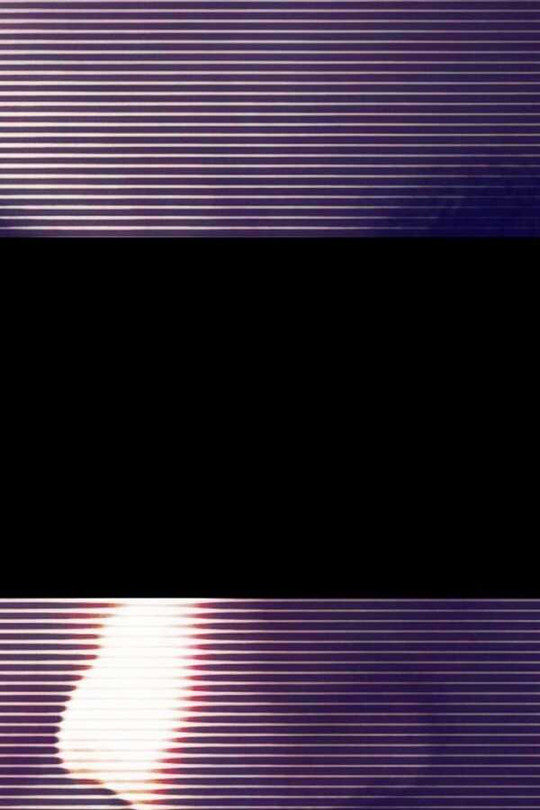 Deep Web - Der Untergang der Silk Road (2015) 0