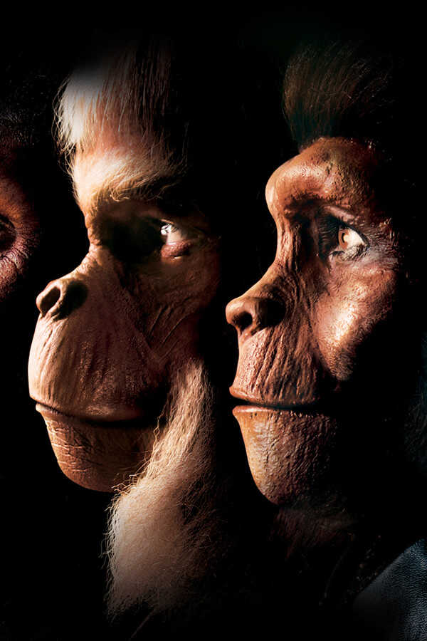 La Planète des singes (1968) 0