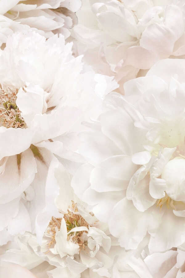 Deadly Vows (2017) 0