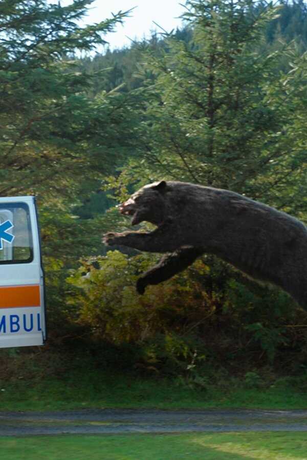 Cocaine Bear (2023) 0