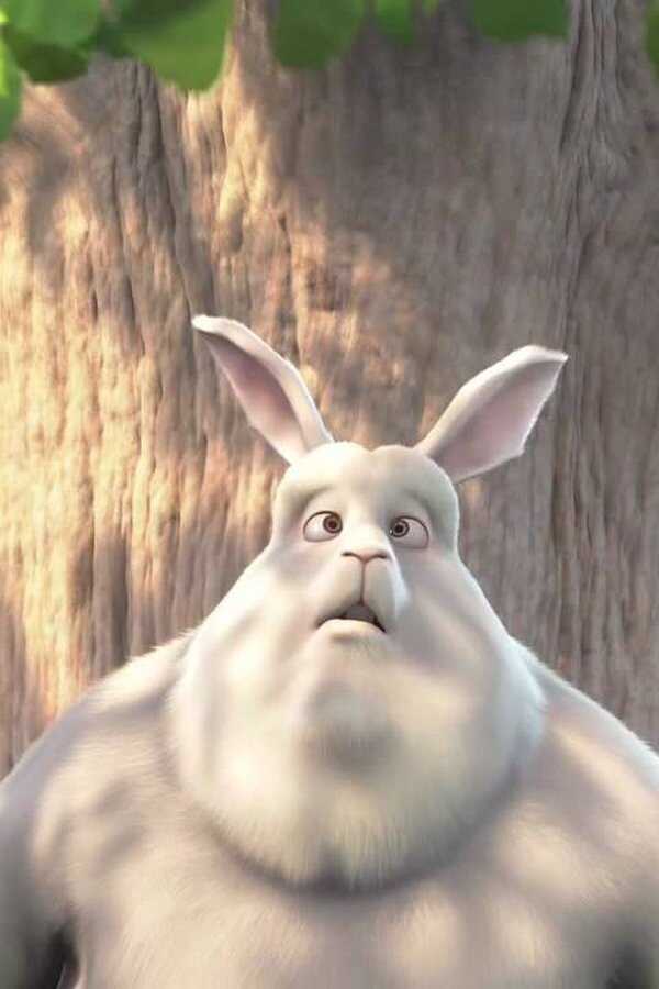 Big Buck Bunny (2008) 0