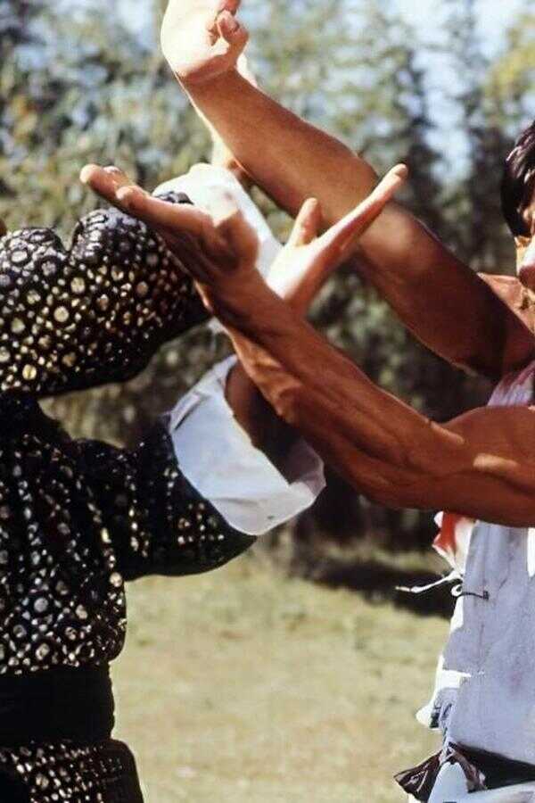Fearless Hyena (1979) 0