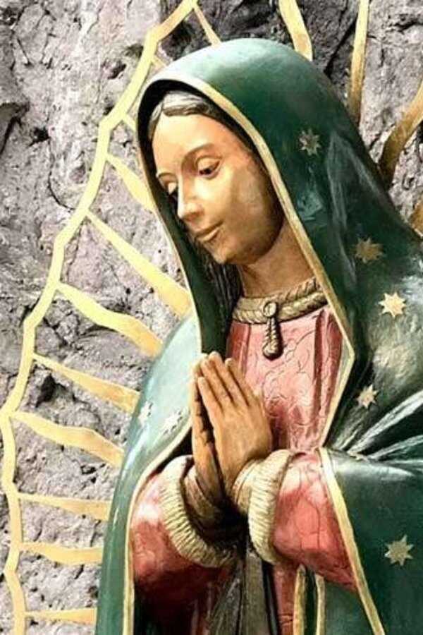 Cud Guadalupe (2020) 0