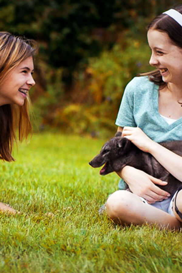 Amanda and the Fox (2018) 0