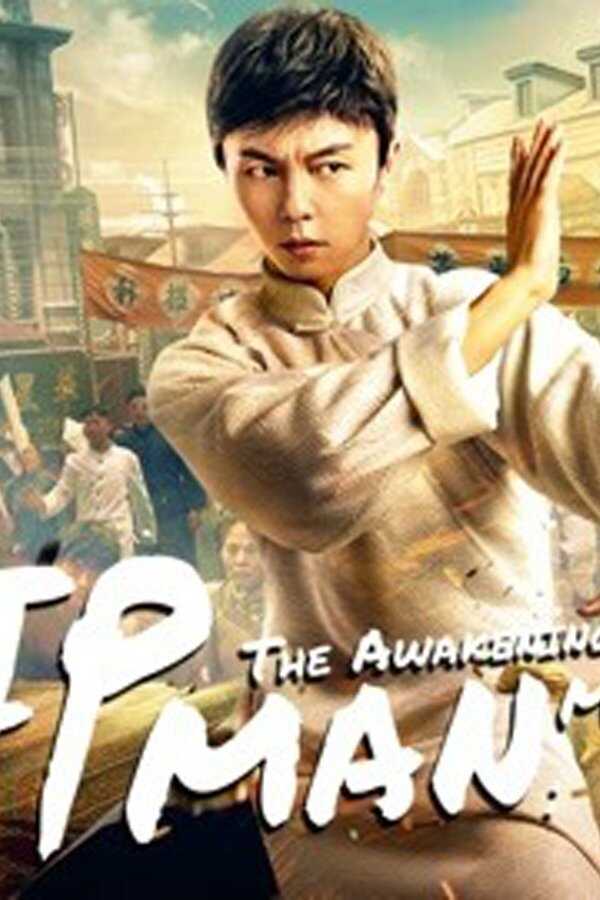 叶问宗师觉醒 (2021) 0