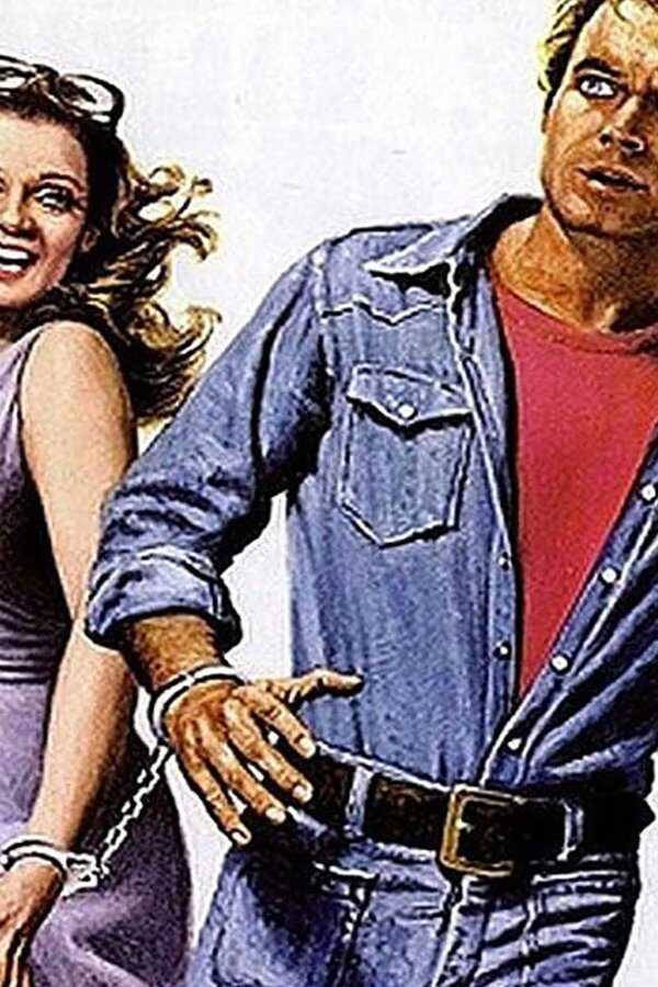 Mr. Billion (1977) 0