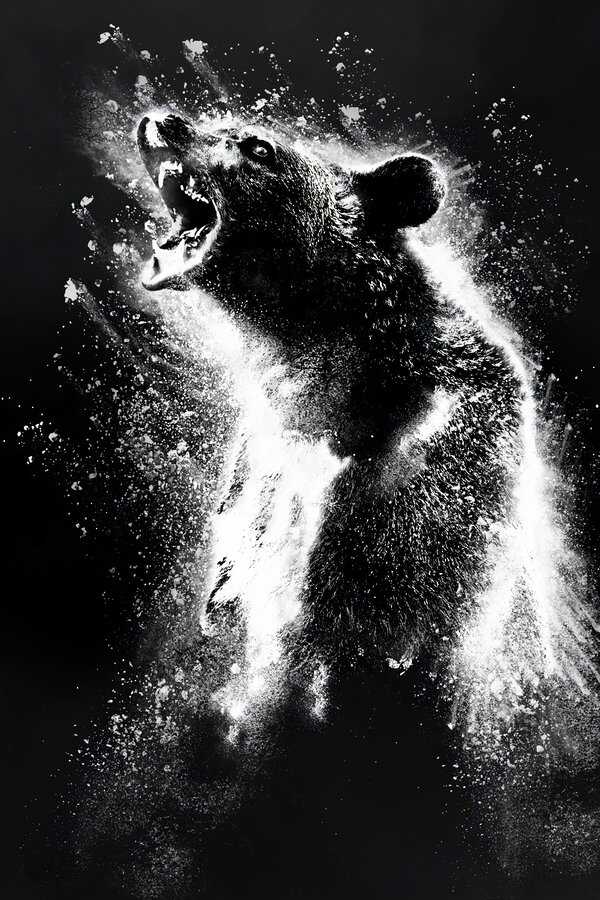 Cocaine Bear (2023) 0