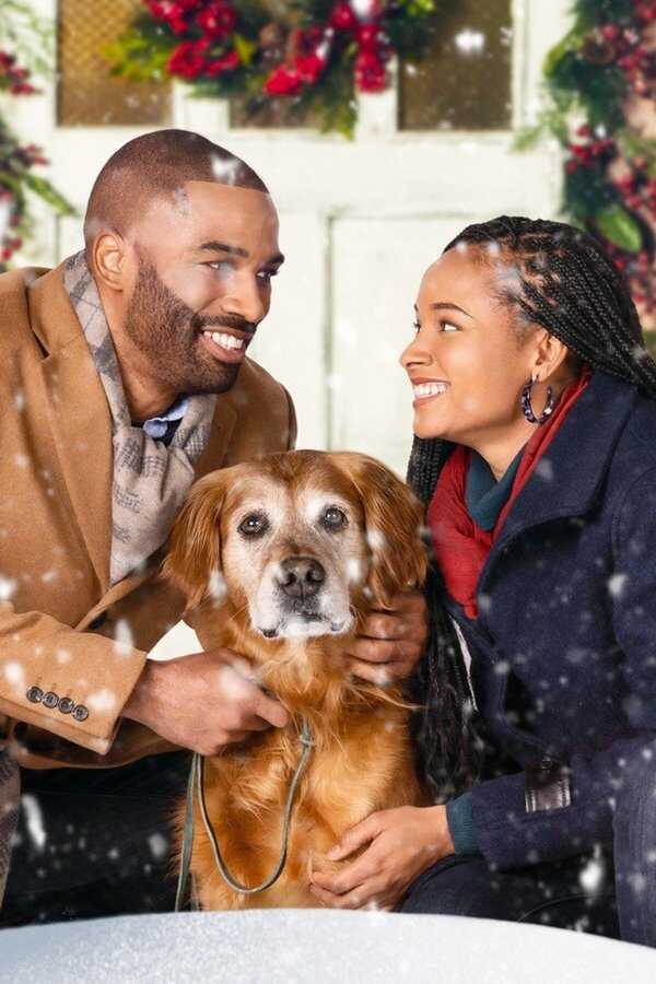 A Christmas Stray (2021) 0