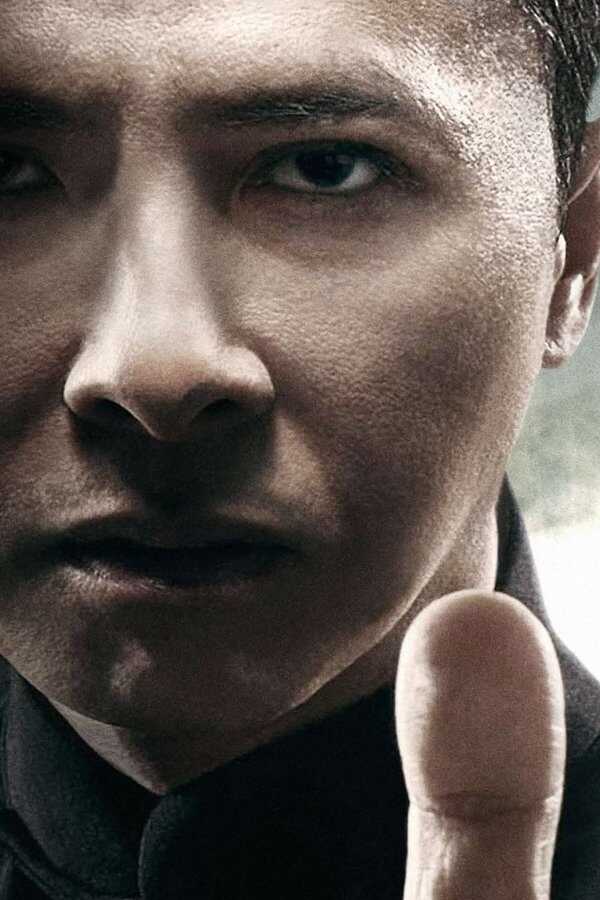 Ip Man 4: The Finale (2019) 0