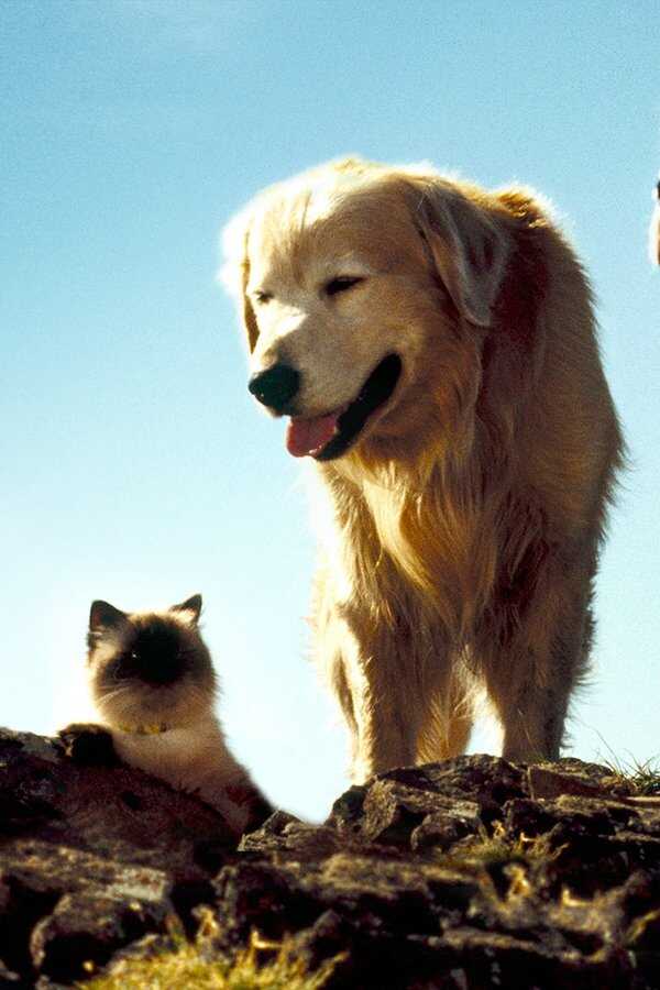 L'Incroyable Voyage (1993) 0