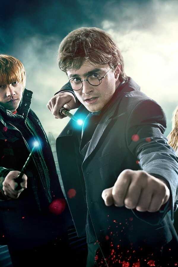 Harry Potter and the Deathly Hallows: Part 1 (2010) 0