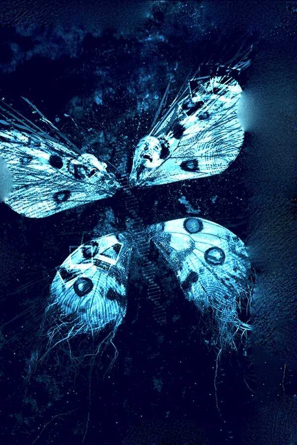 Butterfly Effect 3 - Die Offenbarung (2009) 0