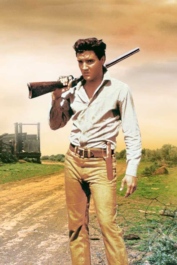 Flaming Star (1960) 0