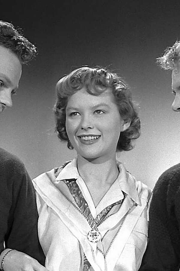 Flintesønnerne (1956) 0