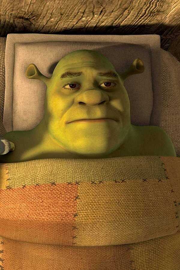 Shrek Forever After (2010) 0