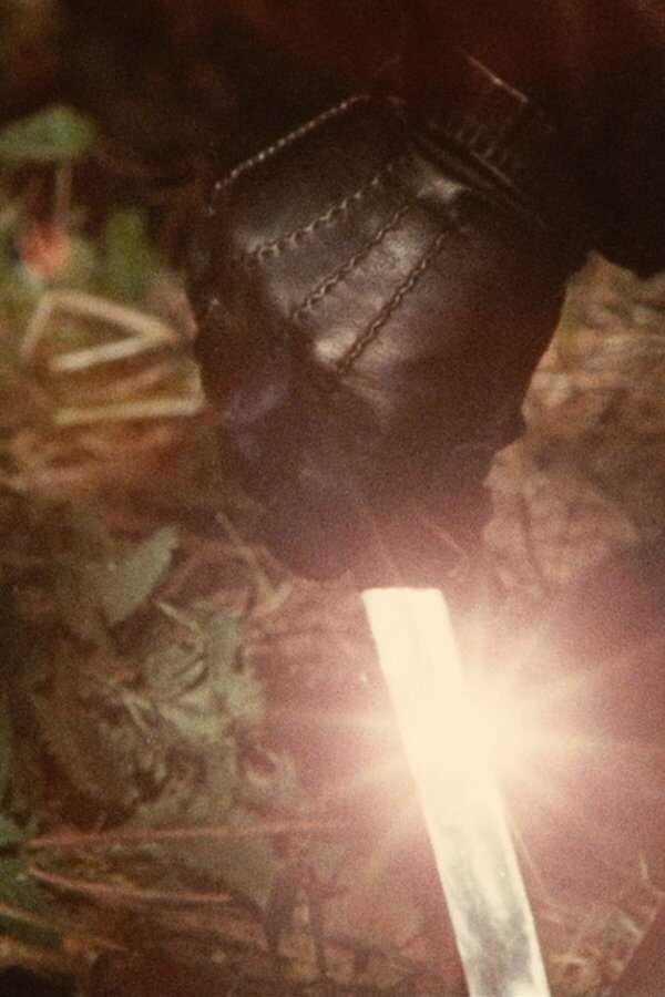 Cosa avete fatto a Solange? (1972) 0