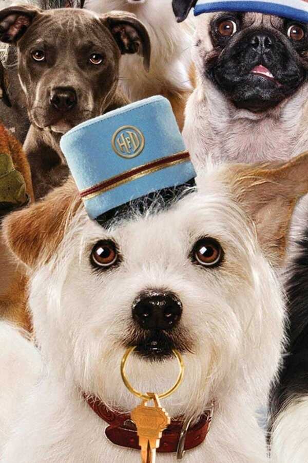 Hotel for Dogs (2009) 0
