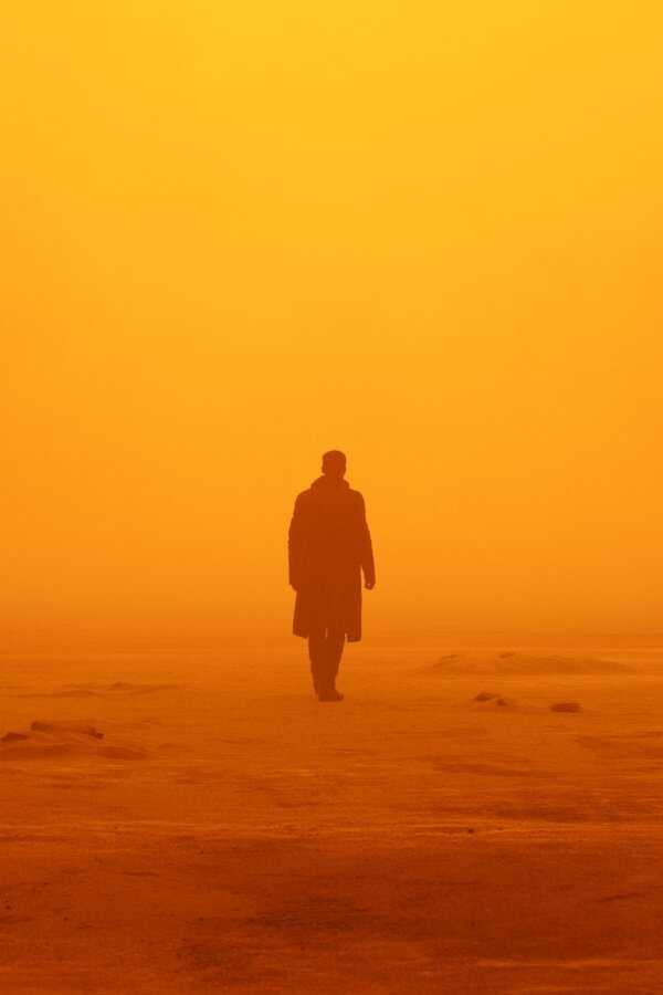 Blade Runner 2049 (2017) 0