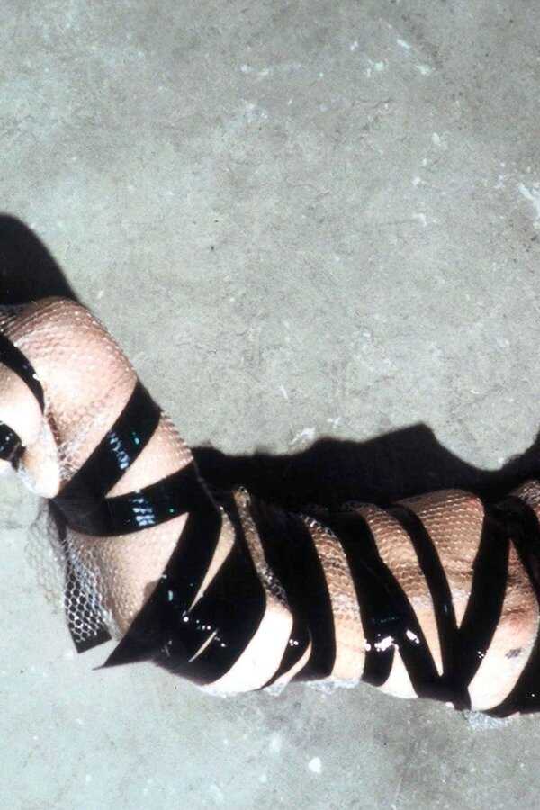 Demonlover (2002) 0