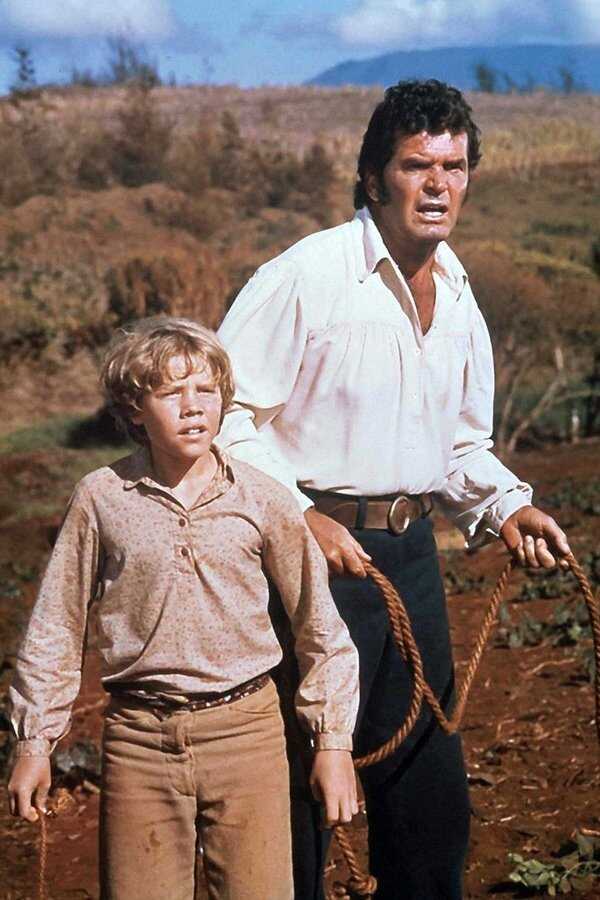 The Castaway Cowboy (1974) 0