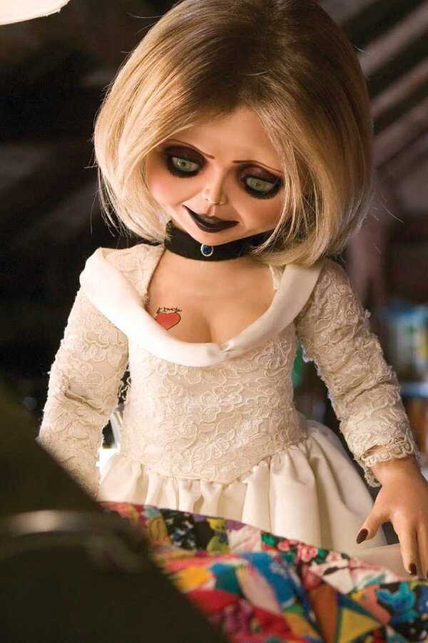 Laleczka Chucky: Następne pokolenie (2004) 0
