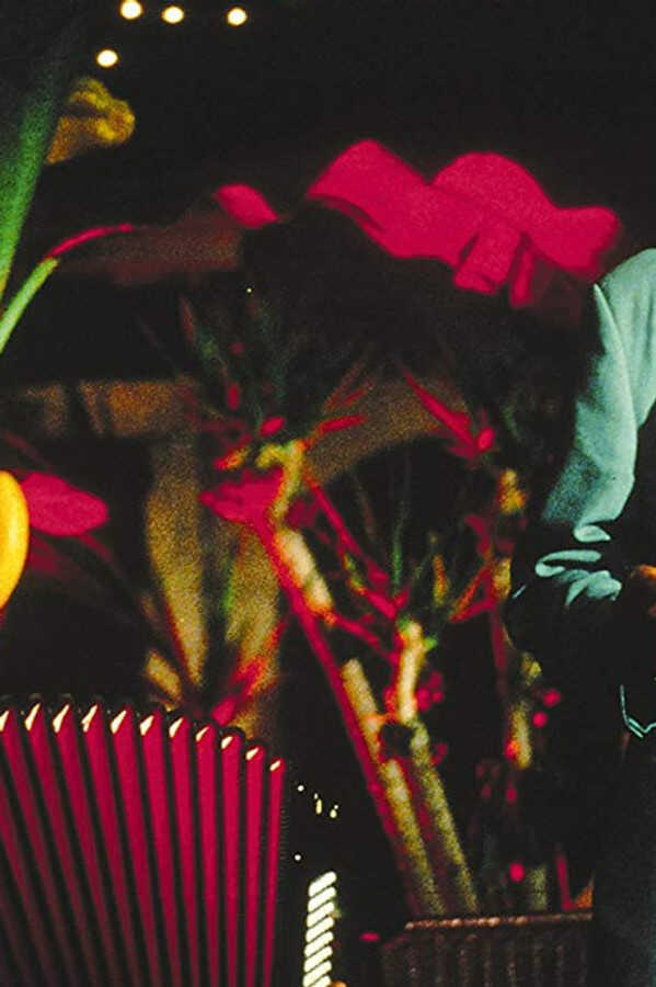 Pane e tulipani (2000) 0