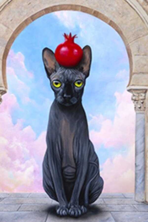 Roman Frayssinet : Ô dedans (2024) 0