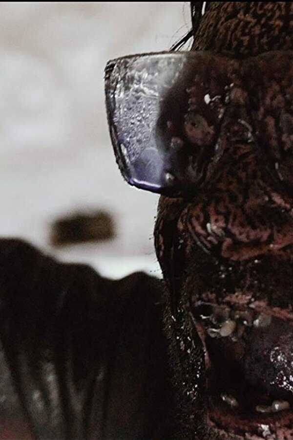 Alien Outbreak (2020) 0