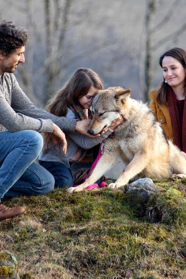 Vicky and Her Mystery (2021) 0