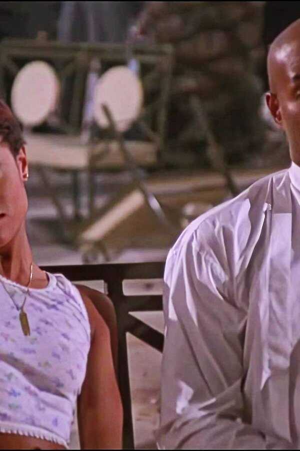 A Low Down Dirty Shame (1994) 0