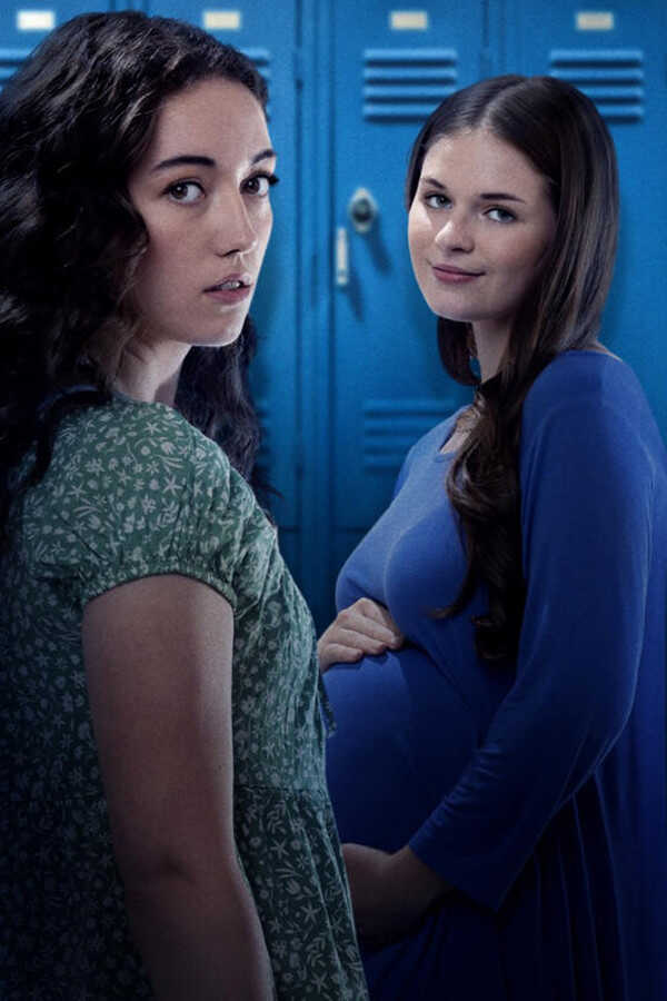 The Pregnancy Promise (2023) 0