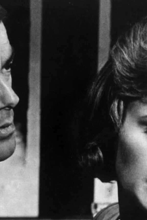 Colossus: The Forbin Project (1970) 0