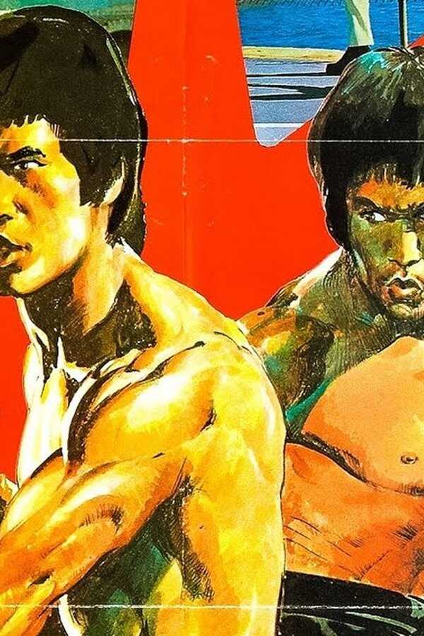 Bruce Lee: The Man, The Myth (1976) 0