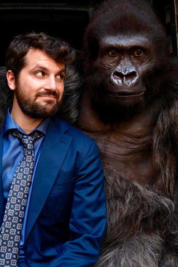 Beware the Gorilla (2019) 0